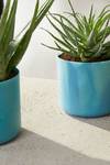the ocean collection round 16cm atlantic blue